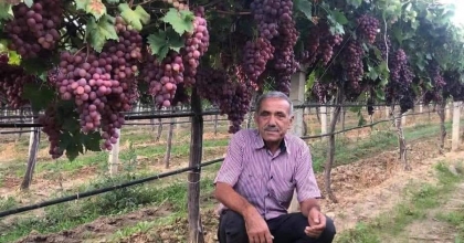 SARIGÖL ZİRAAT ODASI'NDAN TARIM İŞÇİLERİNE YENİ ÜCRET TARİFESİ