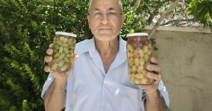 SARIGÖL’DE MEVLANA ÜZÜMÜNDEN YAPILAN TURŞU YOĞUN İLGİ GÖRDÜ