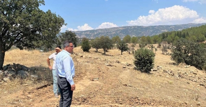 SARIGÖL'E SOKAK HAYVANLARI İÇİN DOĞAL YAŞAM ALANI YAPILACAK