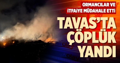 TAVAS’TA ÇÖPLÜK YANDI