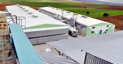 YUMURTA FİRMASINA KAYYUM ATANDI