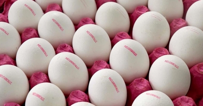 YUMURTA İSRAFI DÜZENLEMESİ YÜRÜRLÜĞE GİRDİ