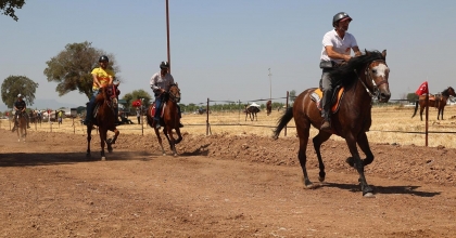 KIZILCABÖLÜK RAHVAN AT YARIŞLARI YOĞUN KATILIMLA GERÇEKLEŞTİ