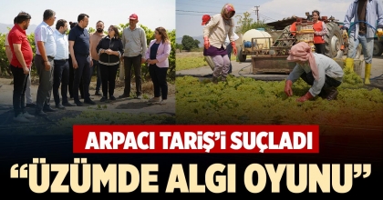 “ÜZÜMDE ALGI OYUNU”