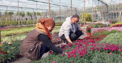 27 MİLYON 300 BİN ADET ÇİÇEK ÜRETİMİ GERÇEKLEŞTİRİLDİ