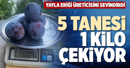 5 TANESİ 1 KİLO ÇEKİYOR