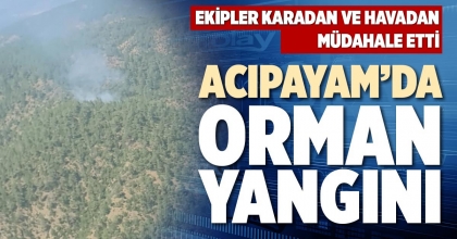 ACIPAYAM’DA ORMAN YANGINI