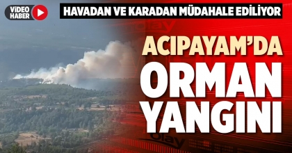 ACIPAYAM’DA ORMAN YANGINI