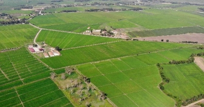 ACIPAYAM VE SERİNHİSAR’DA 23 TAŞINMAZ KİRAYA VERİLECEK