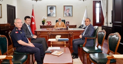 ASAYİŞ TOPLANTISINDA ORMAN YANGINLARI İLE MÜCADELE MASAYA YATIRILDI