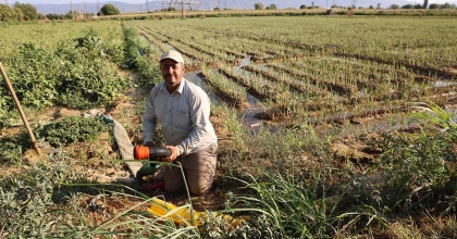 AYDIN'DA SU KITLIĞI ÇİFTÇİLERİN MESAİ SAATLERİNİ DEĞİŞTİRDİ