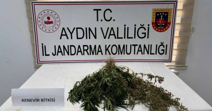 AYDIN’DA UYUŞTURUCU OPERASYONU: 13 ŞÜPHELİ YAKALANDI