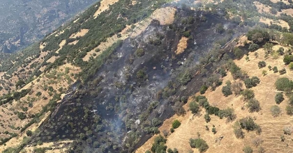 AYDIN ZİRAİ ALAN YANGINI KONTROL ALTINA ALINDI