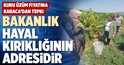 KARACA: BAKANLIK HAYAL KIRIKLIĞININ ADRESİDİR