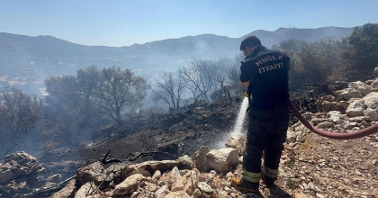 BODRUM'DA UÇAKLARDAN ALEVLERE SU BOMBARDIMANI