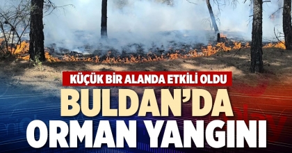 BULDAN’DA ORMAN YANGINI
