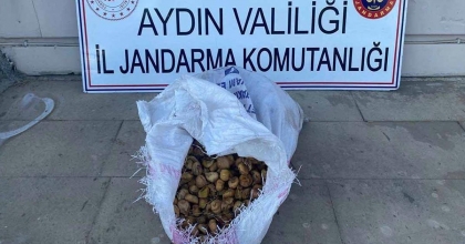 BAHÇEDEN 50 KİLO İNCİR ÇALAN ŞÜPHELİLER JANDARMADAN KAÇAMADI