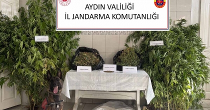 BOZDOĞAN’DA UYUŞTURUCU OPERASYONU: 