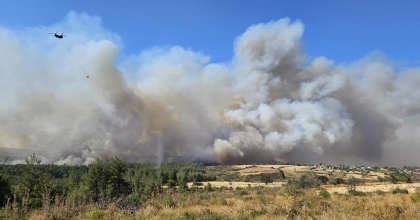 TÜRKİYE YANIYOR: ÇANAKKALE'DE TAHLİYELER, İZMİR'DE GÖZALTILAR
