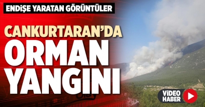 CANKURTARAN’DA ORMAN YANGINI