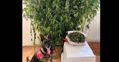 ÇİVRİL’DE NARKOTİK OPERASYONU