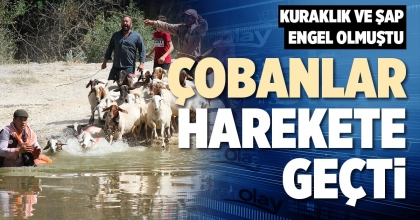 ÇOBANLAR HAREKETE GEÇTİ