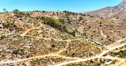 ÇÖKERTME'DE KÜLE DÖNEN ORMANLAR 5 YILDA YENİDEN HAYAT BULDU