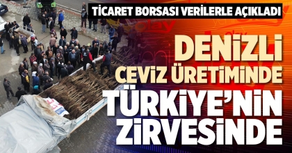 DENİZLİ CEVİZ ÜRETİMİNDE  TÜRKİYE’NİN ZİRVESİNDE