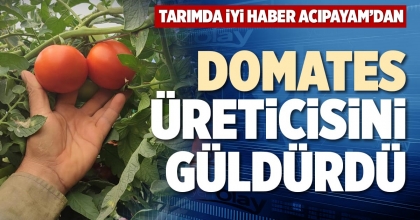 DOMATES ÜRETİCİSİNİ GÜLDÜRDÜ