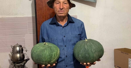 DEDEDEN KALAN TOHUMLA 