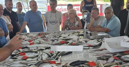 DİDİM’DE İLK BALIK MEZATI GERÇEKLEŞTİRİLDİ