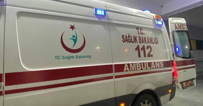 DOMUZ SANIP ATEŞ ETTİ, KOMŞUSUNU VURDU