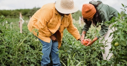 EV GENÇLERİ TARIMA KAZANDIRILACAK