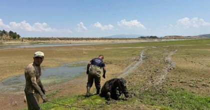 EKİPLERİN CANHIRAŞ MÜCADELESİ TAKDİR TOPLADI