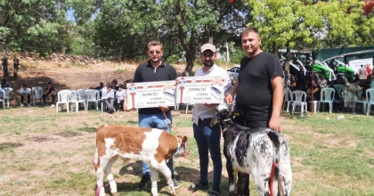 FESTİVALDE EN GÜZEL KUZU VE BUZAĞI SEÇİLDİ