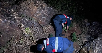 GÖRDES'TE 167 KÖK HİNT KENEVİRİ ELE GEÇİRİLDİ