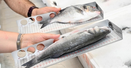 İL MÜDÜRLÜĞÜ SU ÜRÜNLERİ DENETİMLERİNİ SÜRDÜRÜYOR