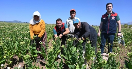 İL MÜDÜRÜ VE ŞUBE MÜDÜRLERİ SAHADA