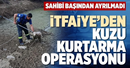 İTFAİYE’DEN KUZU KURTARMA OPERASYONU