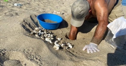 IŞIK KİRLİLİĞİ YÖNLERİNİ ŞAŞIRTTI, GÖNÜLLÜLER KURTARDI