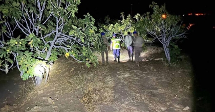 JANDARMADAN ‘İNCİR HIRSIZI' NÖBETİ