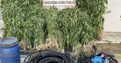 JANDARMADAN UYUŞTURUCU OPERASYONU: 17 YAKALAMA