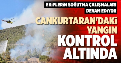 CANKURTARAN'DAKİ YANGIN KONTROL ALTINDA