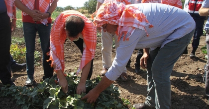 KULA'DA KAVUN HASADI GERÇEKLEŞTİ