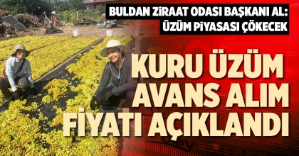 KURU ÜZÜM AVANS ALIM FİYATI AÇIKLANDI