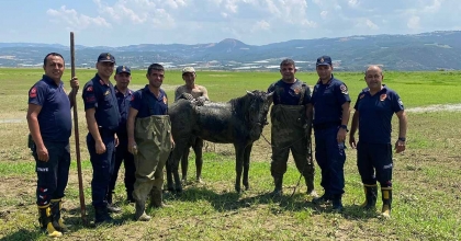 KATIRLARINI KURTARMAK İSTERKEN KENDİSİ DE BATTI