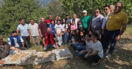 KÖŞK'TE GÖNÜLLÜ HASAT ŞENLİĞİ GERÇEKLEŞTİRİLDİ