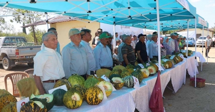 KULA'DA İLK KEZ KAVUN FESTİVALİ DÜZENLENDİ
