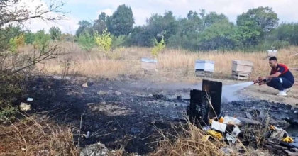 KÜTAHYA’DA ARAZİ YANGININDA 7 ARI KOVANI KÜL OLDU