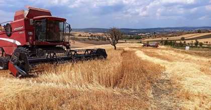 KÜTAHYA’DA HUBUBAT HASAT KONTROLLERİ DEVAM EDİYOR